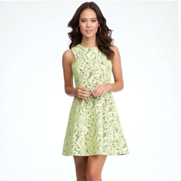Bebe Fit & Flare Lime Lace Contrast Dress - Picture 1 of 14